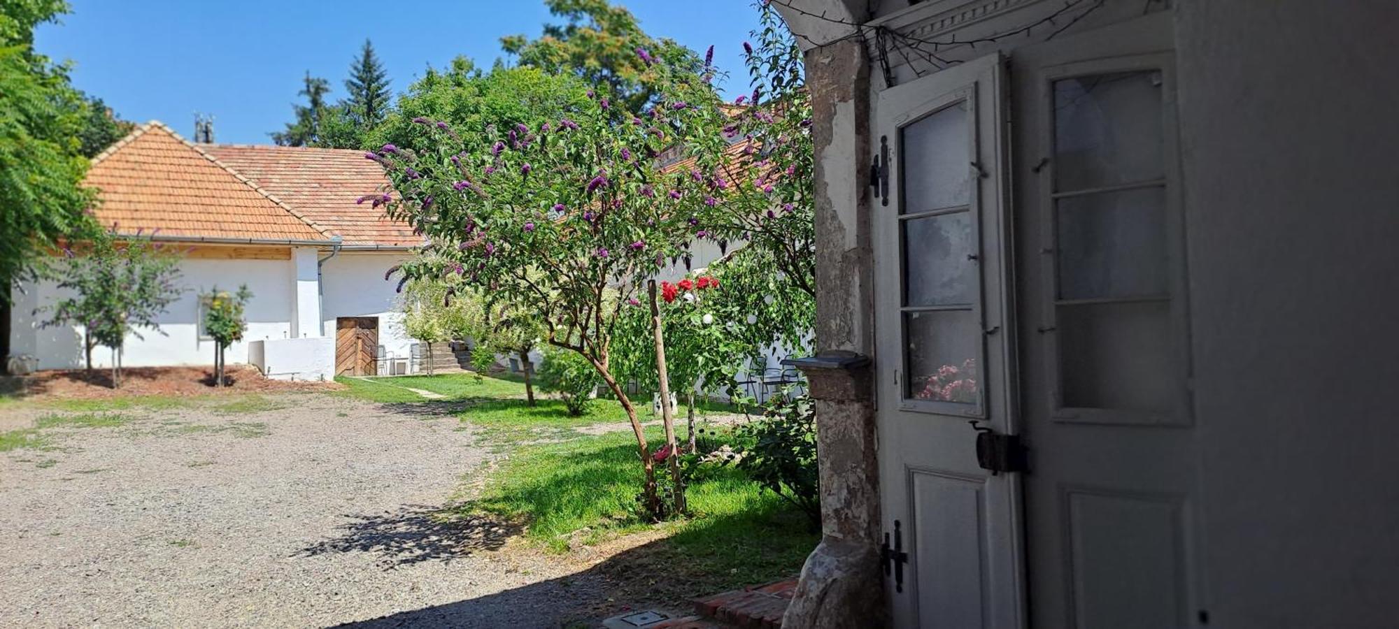 Plitzner Belvarosi Apartmanhaz 埃格尔 外观 照片